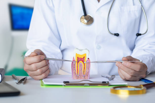 Best Emergency Dentist Near Me  in Roseland, NJ